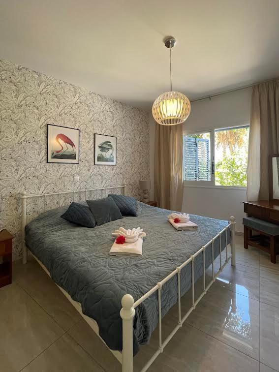 Apartamento Timeless Cyprus Paphos Exterior foto
